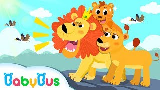 King of Forest: Big Lion | Baby Panda Goes to Forest | Kids Songs collection | BabyBus