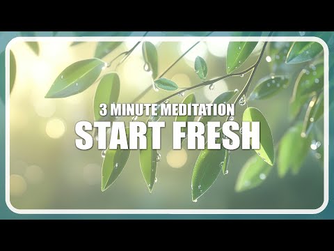 Start Fresh | 3 Minute Morning Meditation to Begin Again