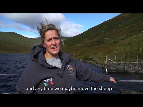 Farming with Field Cred - Kay