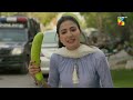Aymen Saleem - Arslan Naseer - Best Scene 04 - Paristan - HUM TV