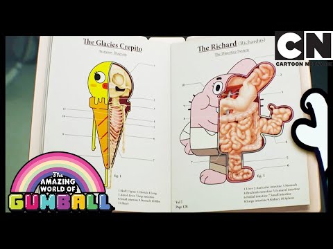 Operation | The Traitor | Gumball | Cartoon Network
