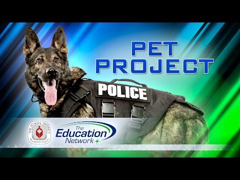 PBC School Police's Newest K-9 Unit Member
