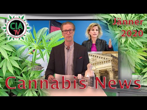 Cannabis NEWS Jänner 2020 - Eigenanbau Italien , Daniela Ludwig, Görli, Hanfbar, Olympia, Sizilien