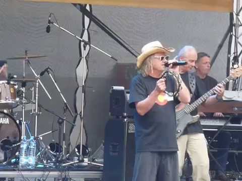 ŽLUTÝ PES V USTÍ NAD LABEM 14.6.2014