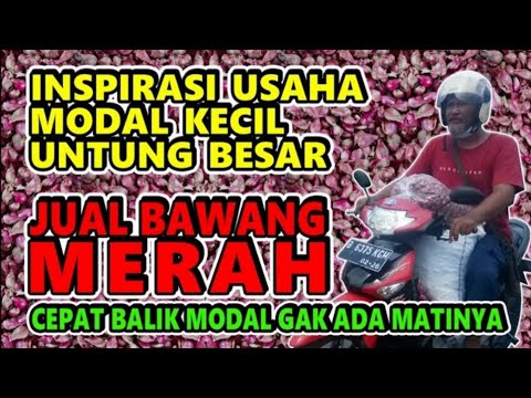 , title : 'Bisnis Bawang Merah | ide usaha rumahan modal kecil untung besar'