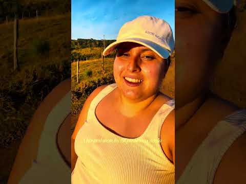 Sítio Nova Esperança - Sapopema PR | Chalé R$300,00