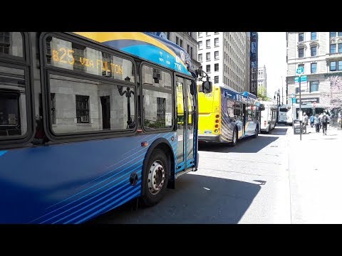 B26 Bus