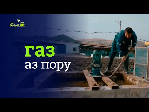 Навори Азия Плюс
Чӣ тавр поруро муфид истифода бурд