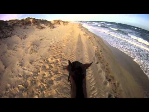 Terza prova di galoppo con Rocco