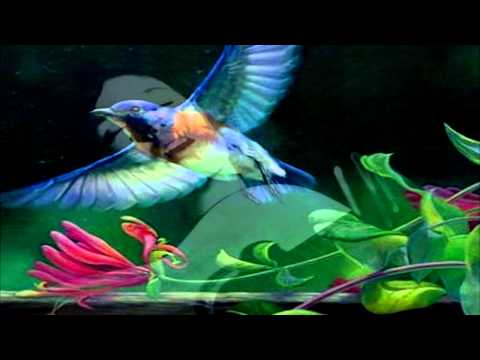 Shelby Flint ~ Bluebird