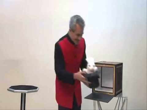 Everything to 4 Dove Cages by Tora Magic - Alberico Magic