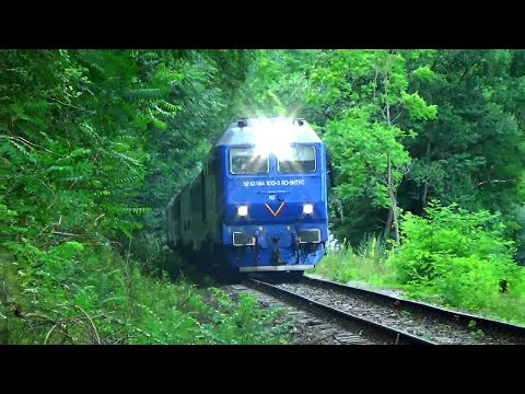 Trenuri in Defileul Crisului Repede/Trains in Crisul Repede Canyon(23.June.2022.)