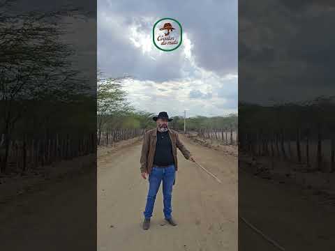 🌾 SÍTIO MORORO ÀS MARGENS DO RIO PARAÍBA – 165 HECTARES COM ÁGUA PERENE E POTENCIAL DE IRRIGAÇÃO 🌾