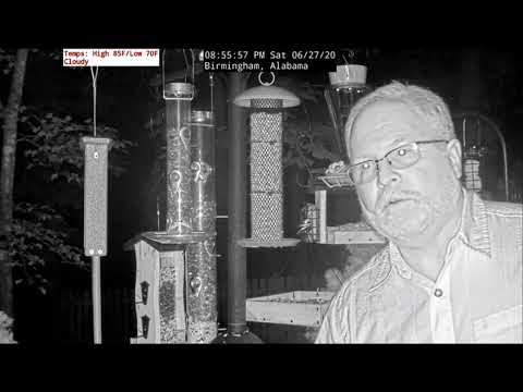 Flying Squirrel Funny Take at Alabama Bird Cam - 6.27.20