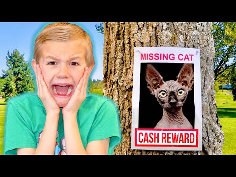 Help Me! I LOST My Pet Cat!
