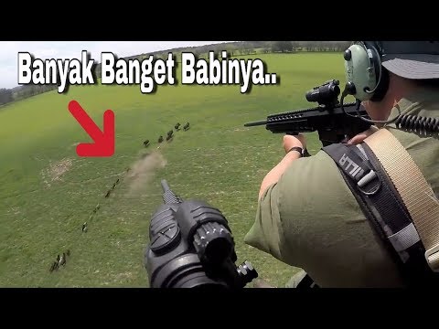 Gokill,, Berburu Babi Hutan Dengan Helikopter