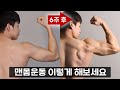 맨몸운동으로 가장 빠르게 몸을 만드는 단 한가지의 방법 [모르면 안되는 풀업, 푸쉬업, 딥스 주의사항]