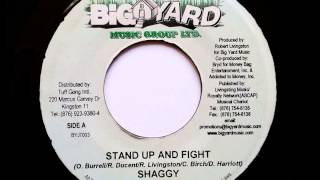 Shaggy - Stand Up And Fight  - Big Yard