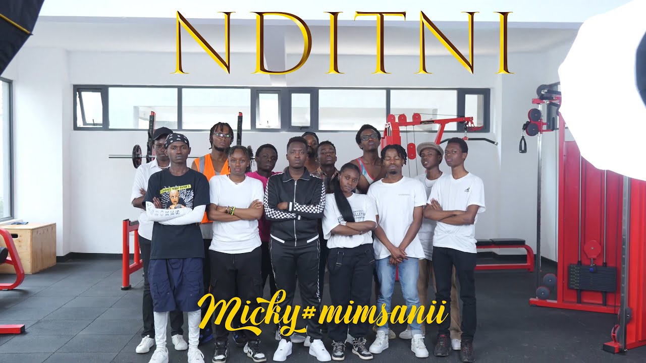 Dream Big — Micky Mimsanii