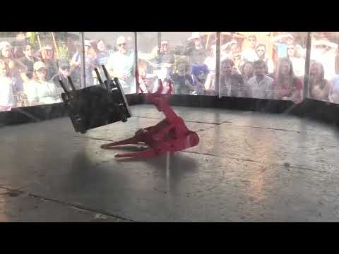 BBB x LHG Brewery Bash Bristol 2023: Mucha Lucha Vs Grab Crab XL