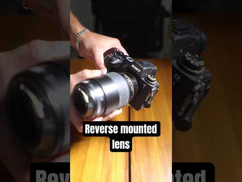 Reverse Mounted Macro Lens #macrophotography