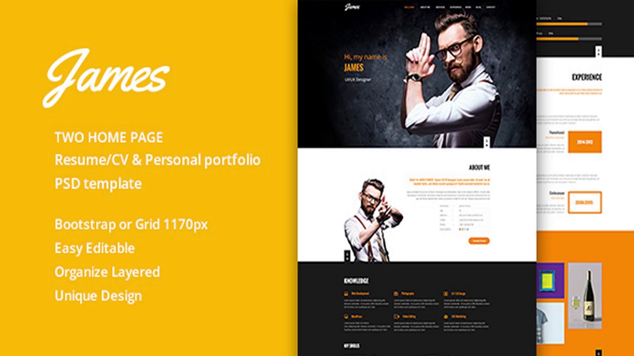 James Resume/CV & Personal portfolio PSD Template | Themeforest Website Templates and Themes