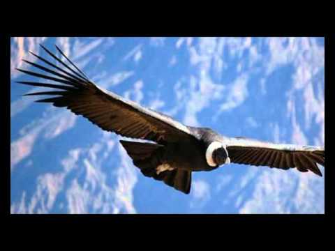 LOS ALEGRES DEL PERU - CORAZON DE PIEDRA & EL AGUAJAL