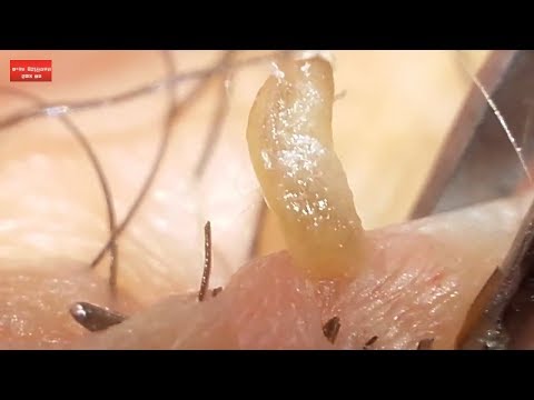 download lagu mp3 mp4 Pore Out, download lagu Pore Out gratis, unduh video klip Pore Out