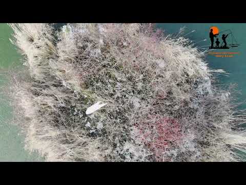 Wędkarski Klub Sportowy "Nowy Świat" - 8 stycznia 2022