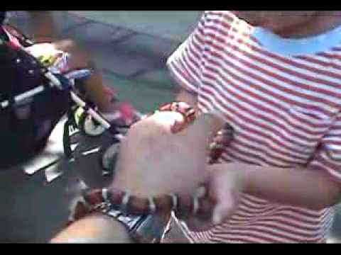 YouTube Video Tcj4j1dvsDk