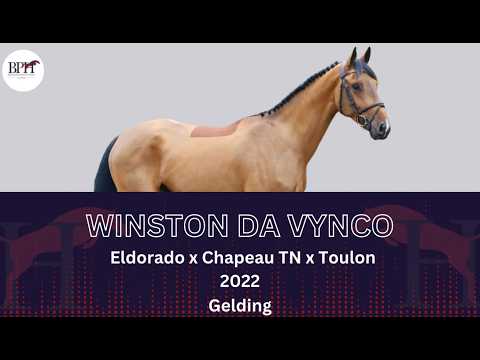 Winston da Vynco