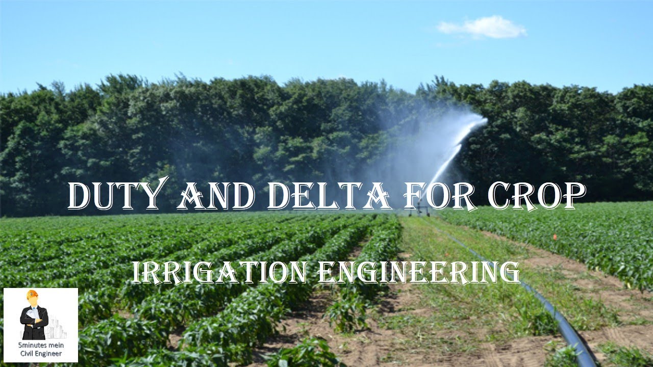 DUTY & DELTA OF A CROP || IRRIGATION ENGINEERING || Bangla