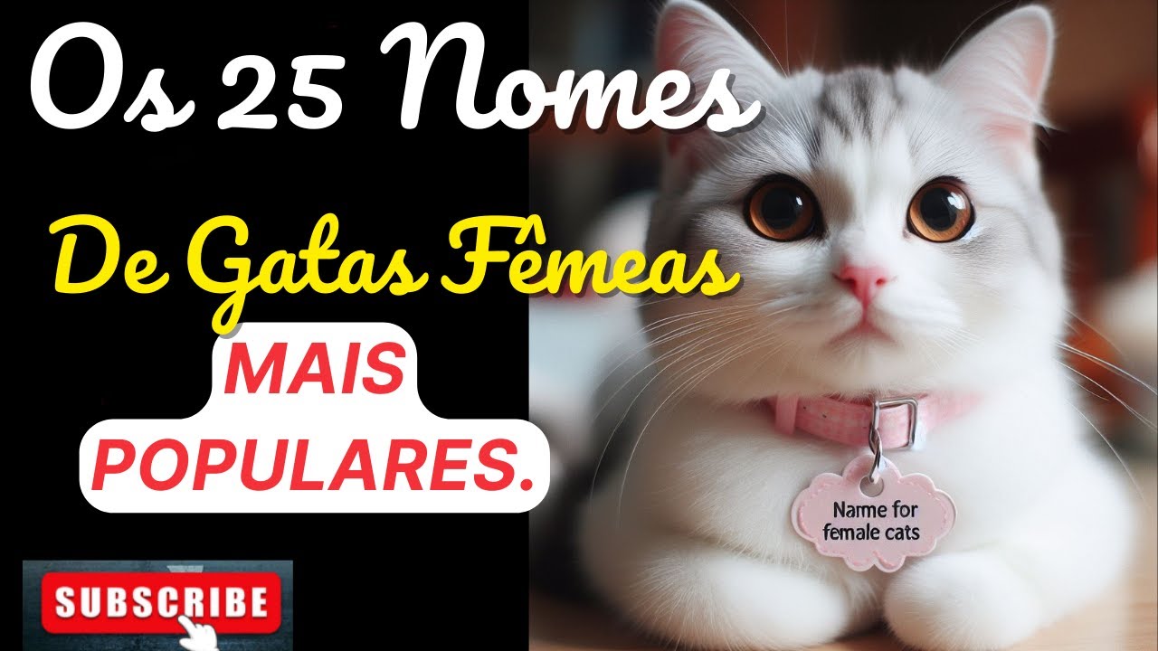 Os 25 Nomes De Gatas Fêmeas Mais Populares