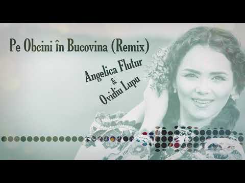 Pe Obcini în Bucovina (REMIX) - Angelica Flutur & Ovidiu Lupu