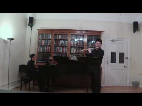 T.Verhey Flute Concerto in d minor