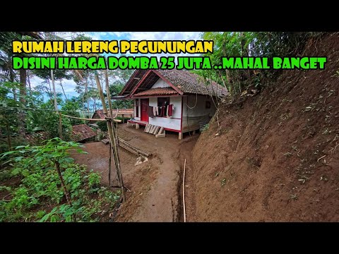 WOW... One sheep in this village costs 25 million... That's expensive, huh?