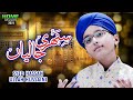 Syed Hassan Ullah Hussaini Sunehri Jaliyan New Heart Touching Naat Home Islamic