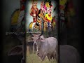 Jay Momaji Ri Mamaji Video Statusvideo Viralshort Jay Momaji Ri