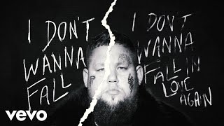 Download  Fall in Love Again  - Rag'n'Bone Man