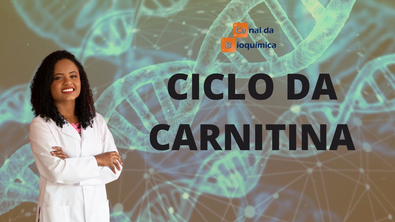 Oxidação de ácidos graxos: ciclo da carnitina