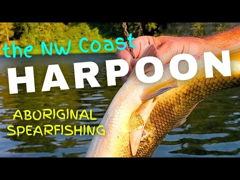 Spearfishing with NW Coast/Inuit Harpoon