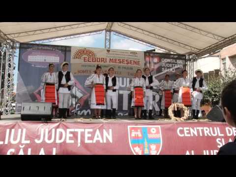 SOMES, CANTECELE TALE - 2014 - Ansamblul CUNUNA - 2