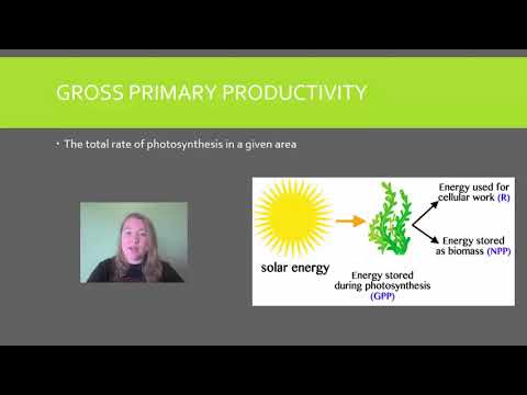 AP Env Sci Topic 1.8 Primary Productivity