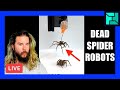 🔴 How to turn dead spiders into robots! | [OFFICE HOURS] Podcast 097
