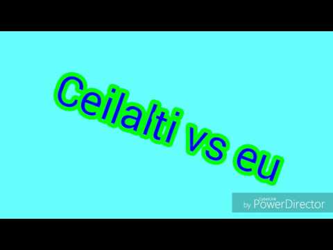 Ceilalti vs eu #1