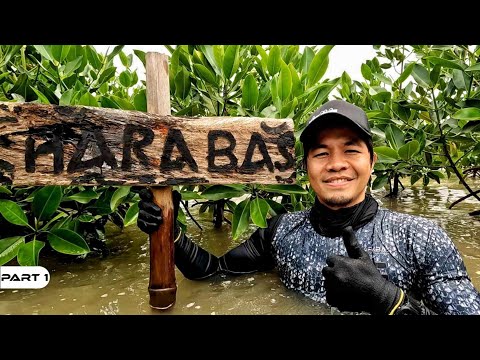 P1 - May Pakinabang na ang aming Bakawan - EP1483