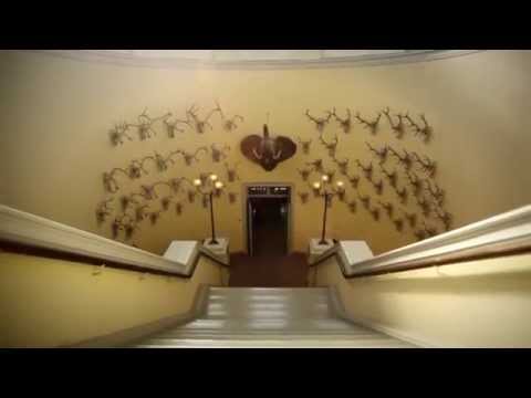 Museu de Bergen - Der historien kommmer til liv