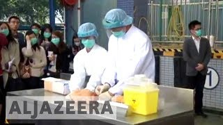 China probes bird flu transmission to humans