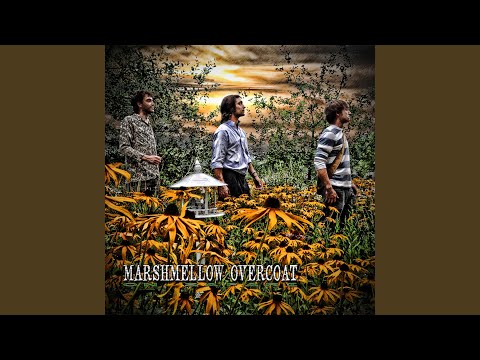 download lagu mp3 mp4 Marshmellow Overcoat Around Here, download mp3 Marshmellow Overcoat Around Here free downloadn, video klip Marshmellow Overcoat Around Here
