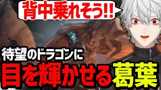 カッコ良すぎるドラゴンに乗りた過ぎてテンションがバグる葛葉【にじさんじ/切り抜き/ホグワーツレガシー】